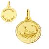 FMF Pendente Oro 18k 750 Mls. Medaglia Oroscopo 16 MM 1,60 Gramos. Scorpione