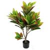 EffeZeta Pianta di Croton ornamentale 110 cm. 97 foglie