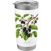 The Botany Bureau Illustrazione della pianta di gelso Morus alba Bicchiere termico in acciaio inox doppia parete