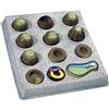 3B Scientific T12009 Sviluppo di Embrione di Rana, Rosso, 12 Parti