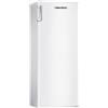 San Giorgio Congelatore Verticale SANGIORGIO 200lt No Frost Classe E Bianco SF20NFWE
