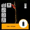 Aigostar Aigostar Catena Luminosa 50 LED Calda 1.6m Babbo Natale 4AA IP44