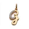 FMF Pendente Oro 18K 750 Mls. Iniziale Bicolore Con Zirconie 18X9 Mm. Lettera G