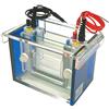 Neolab 7 0141 gel Elektrophorese camera mini verticale completo