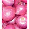 CIPOLLA ROSSA RED BARON 500GR DA INTERRARE BULBI ORTO GIARDINO
