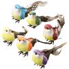 未指定 Set 6 uccellini finta per piuma per decorazione di Natale arroccato uccelli