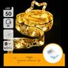Aigostar Aigostar Catena Luminosa Nastro Oro e Stella 500cm 50 LED Luce Calda 6