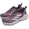 adidas Terrex Trailmaker 2 GTX W Gore-Tex Silver Pink Women Trail Running IG1767