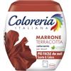 Coloreria Italiana Grey Colorante Tessuti e Vestiti in Lavatrice, colore Marrone Terracotta, 1 Confezione, 350 g