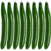 8 Pcs Cetriolo Artificiale Oggetti Di Scena Per Cetrioli Simulazione