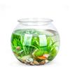 Boccia Pesci 17.5cm in PVC a Forma di Sfera Pianta Vaso Ciotola Acquario Decori