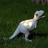 Luce per solare Tyrannosaurus per rex Resina per decorazione per giardino con