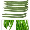 High Quality Finto for verde Chicchi Decorativo Prodotti Realistico Aspetto Artificiale