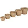 NATURAL LIVING Set di 5 coprivasi per erba di JONC D12 cm, 14 cm, 16 cm, 18 cm, 20 cm