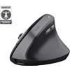 Trust Bayo II mouse Medico Mano destra RF Wireless Ottico 2400 DPI