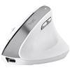 Trust Bayo II mouse Ufficio Mano destra RF Wireless Ottico 2400 DPI