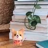 Durable DIY Felt Dog Material Wool Kit for Needle Felting Crafts