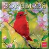 Sellers Publishing Songbirds of North America