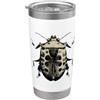 Vintage Entomology & Insect Biology Art Vintage Beetle Puzza Insetto Biologia Retro Bicchiere termico in acciaio inox doppia parete