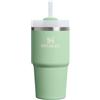 Stanley 1913 Quencher Borraccia Con Cannuccia 0.59L- Pistachio | Freddo Per 8 Ore - Con Ghiaccio Per 30 Ore - Senza BPA - Tazza Termica Con Manico
