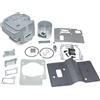 Kit Cilindro Pistone 52mm per RedMax EBZ8500 Husqvarna 580BTS 577424001 Motore