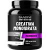 BANDINI Creatina Monoidrato - Polvere 500g Micronizzata Bandini