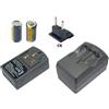 PowerSmart Batteria + Caricabatterie Per Panasonic C-2200ZM C-2300ZM C-625AF C-D340EF