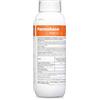 India PERMEBASE FREE Insetticida Permetrina Tetrametrina Punteruolo Zanzare 1 LT