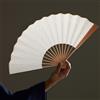 Ventagli Pieghevoli Ventilatori Palmari Ventilatore Portatile Pieghevole Bianco