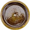 Pot di giardinaggio succulento di fiore ceramico idroponico 1pc