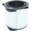 vhbw Filtro per AEG AX9 AX91-404 purificatore d'aria