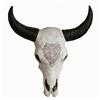Teschio Longhorn da Parete Robusto Testa di Toro con Corna Resistente