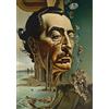 PuzzleTech Puzzle 1000 Pezzi Salvador Dalí Surrealista Adulti Decorazione Casa