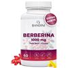 Bandini® Berberina 1000mg pura alto dosaggio | Pura Berberina HCl da Berberis