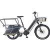 Prophete Urbanicer 4.0 Urban Longtail E-Bike 24 - AEG 250 W motore medio, portata 170 km, 9 marce, freni a disco idraulici, illuminazione a LED, batteria agli ioni di litio integrata, grigio