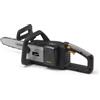 Alpina Motosega (20V; 1 batteria; 4Ah) Ac 20 Li Kit (barra 25cm ) EPOWER 271404104 A24