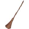 DISGUISE Wicked Elphaba Fancy Dress Accessories for Kids, Official Wicked by, Elphaba Hat and Elphaba Broomstick, Inspired by the Wicked Movie, Perfect for Halloween and Carnival
