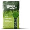 Il Paese Verde Concime Growing 200mq- Concime Granulare Npk per Prato, 8kg | Nutrimento Di Qualità per un Prato Perfetto