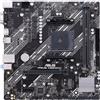 ASUS PRIME A520M-K AMD / 64 GB / DDR4-SDRAM