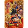 SD TOYS - Coperta 100 x 150 cm Battle of Gods Goku States Dragon Ball