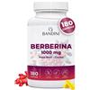 Bandini® Berberina 1000mg pura alto dosaggio | 180 capsule vegane - Berberin