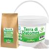 Terra di Diatomee 400g 1kg 2kg 5kg 10kg 20kg Terra Diatomacea Grado Alimentare