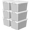 Cetomo 15L*6 Scatole di Stoccaggio con Coperchi, Contenitori in Plastica con Fib