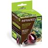 Reptiles-Planet Reptiles Planet - Infrared - Lampadina riscaldante a infrarossi - 100 W