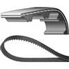 Dayco Cinghia distribuzione 94950 DAYCO per FIAT LANCIA ALFA ROMEO FORD