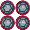 Kit per filtro HEPA riutilizzabile per RAF R.8665 per aspirapolvere fili per oi