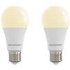 BLAUPUNKT E27 A65 Lampadina a LED 18 Watt Bianco Caldo, Confezione da 2 | Sostituisce 150-180W, Illuminazione principale, Anti-abbagliamento, Finitura smerigliata - per soggiorni e hall d'albergo