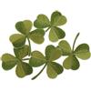 Confezione Da 5 Toppe Termoadesive Ricamate Badge Adesivi In Stoffa A Tre Foglie