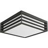 Philips Moonshine Lampada da Soffitto da Esterno, Grigio Scuro