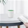 Piante Artificiali in Vaso Di Fiori Simulazione Piccoli Vasi Plastica